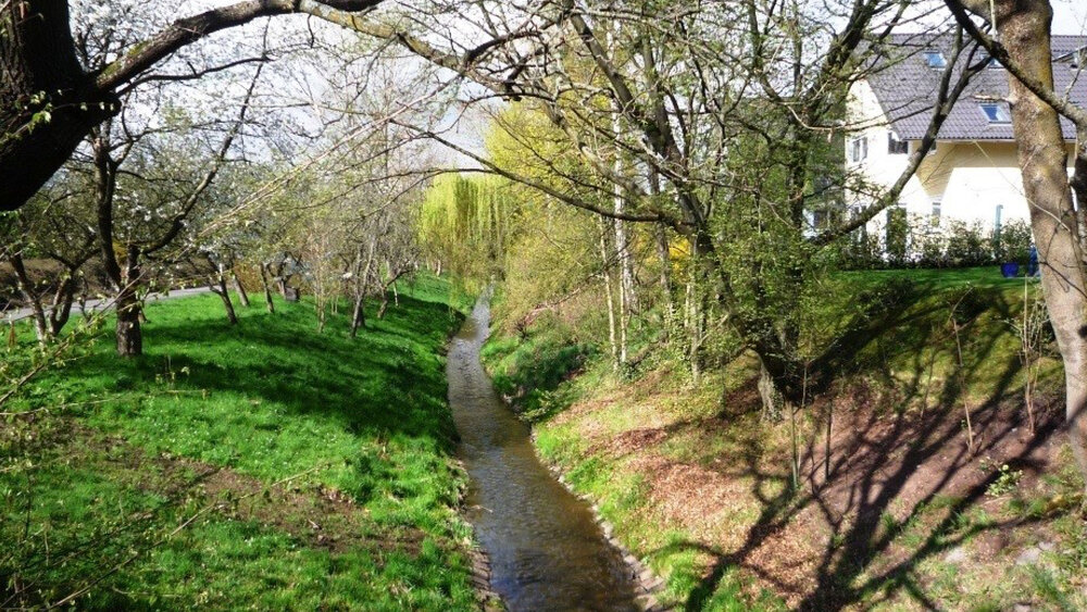 Gewässerstreifen