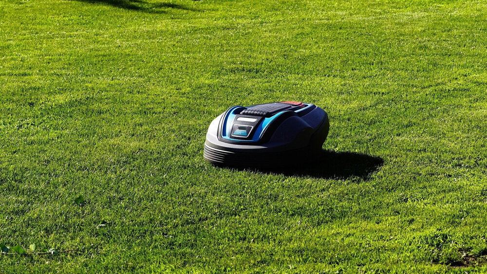 Mähroboter auf einer Wiese