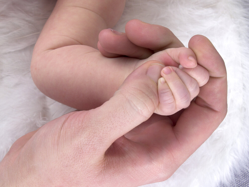 Ein neugeborenes Baby ergreift die Hand eines Elternteils.