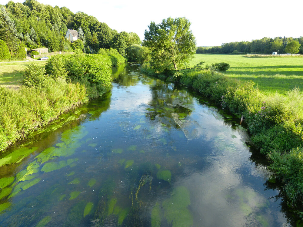 Chemnitzaue