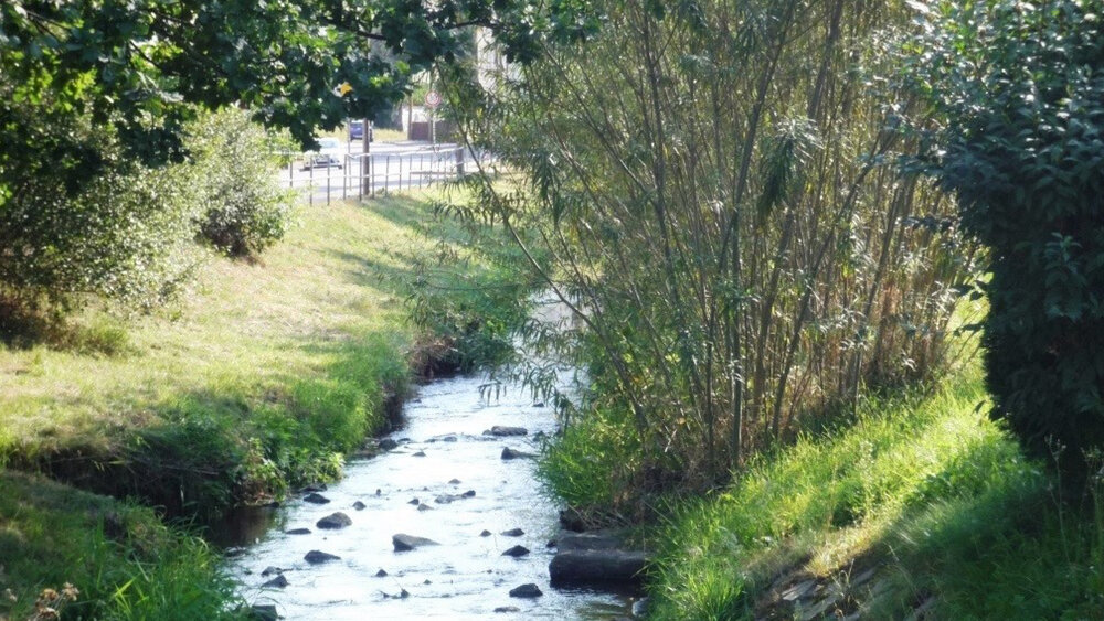 Gewässerstreifen