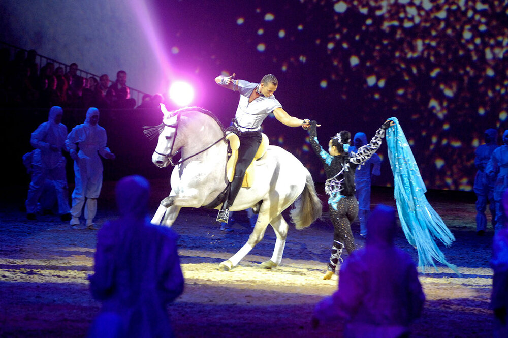 Pferde-Show in der Messe Chemnitz