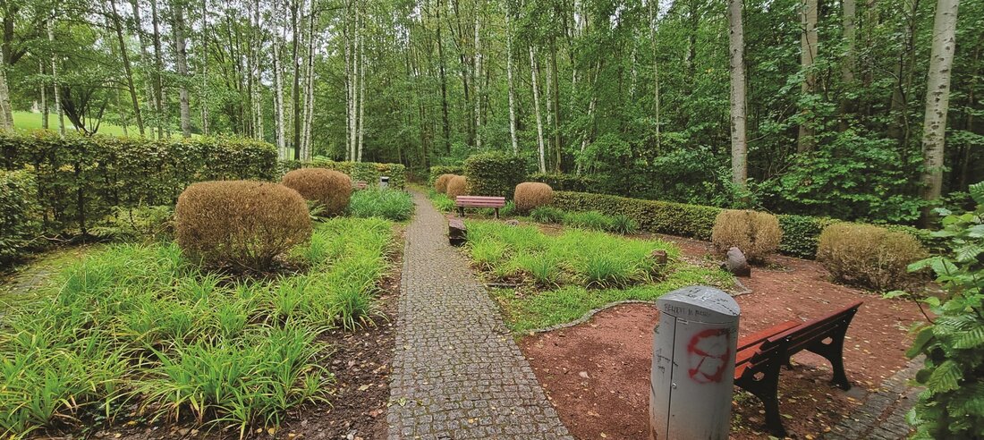 Im Bild ist eine Parkanlage zu sehen. Darin stehen kleine kugelförmig geschnittene Sträucher, deren Blätter sind braum im Gegensatz zur umgebenden grünen Vegetation.