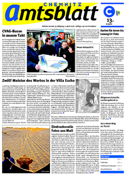 Amtsblatt 13