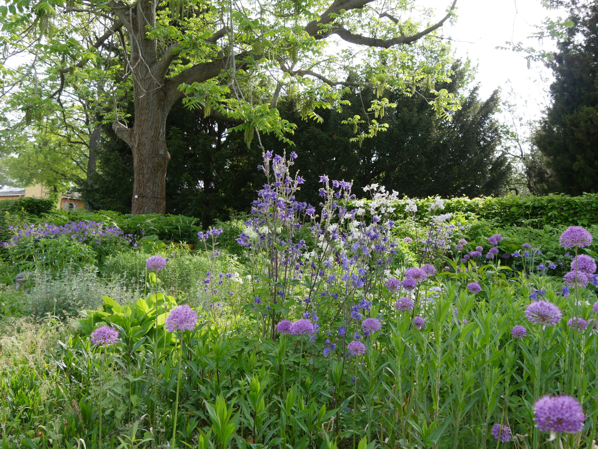 Botanischer Garten Chemnitz.de