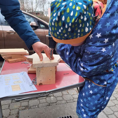 Vogelhausbau