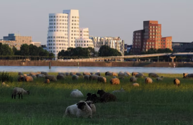 Düsseldorf, Rheinufer, Blick auf Gehry Bauten