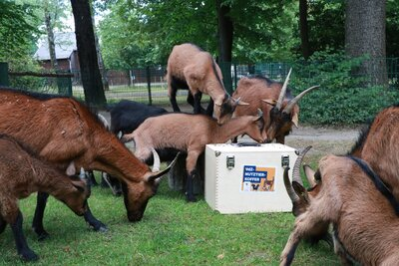 Der Tierpark Chemnitz stellt Nutztierkoffer zur Verfügung.