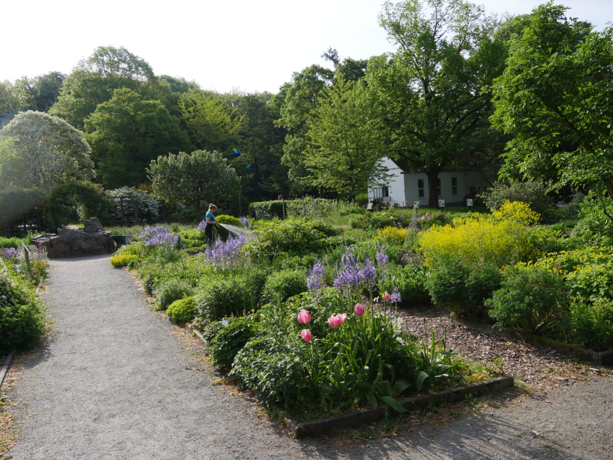 Im Botanischen Garten gibt es immer was zu entdecken
