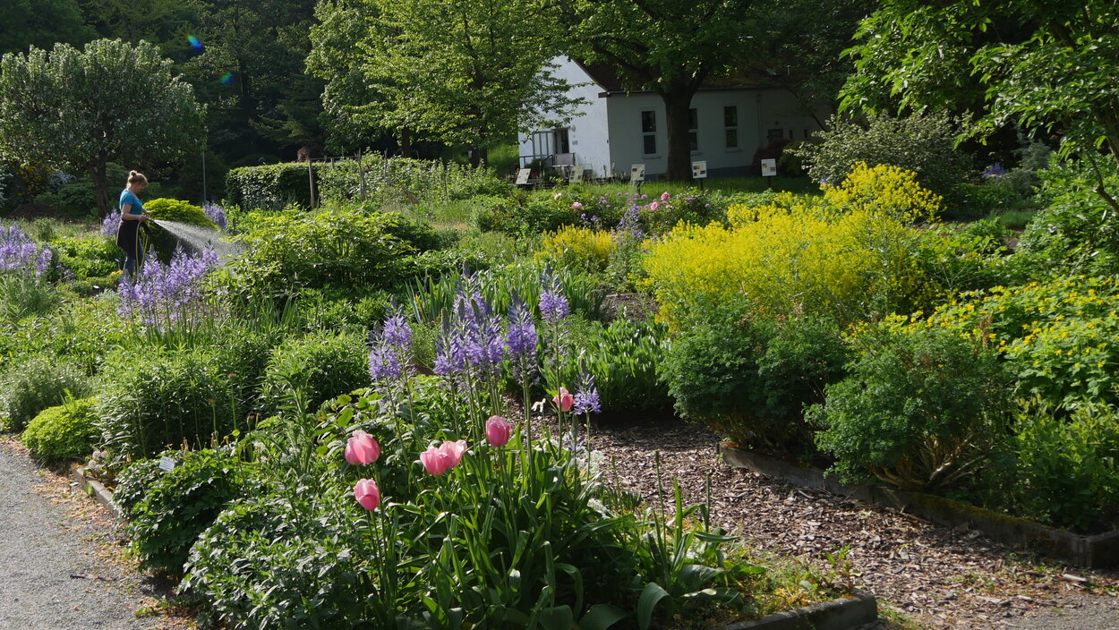 Im Botanischen Garten gibt es immer was zu entdecken