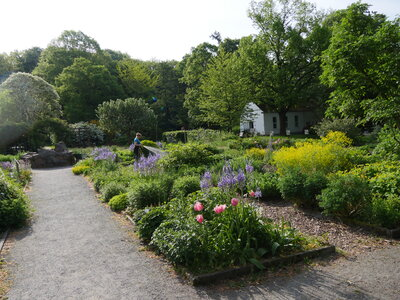 Im Botanischen Garten gibt es immer was zu entdecken