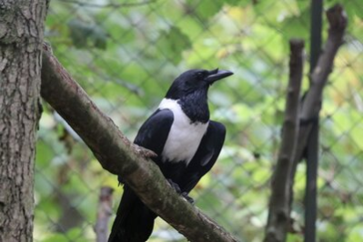 Tierpark Chemnitz