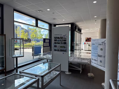 Ausstellung "Der Preis des Glases - Vogelschlag an Glas" im Foyer des Technischen Rathauses