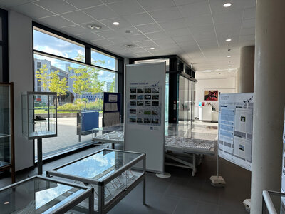 Ausstellung "Der Preis des Glases - Vogelschlag an Glas" im Foyer des Technischen Rathauses