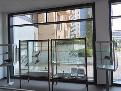 Ausstellung "Der Preis des Glases - Vogelschlag an Glas" im Foyer des Technischen Rathauses