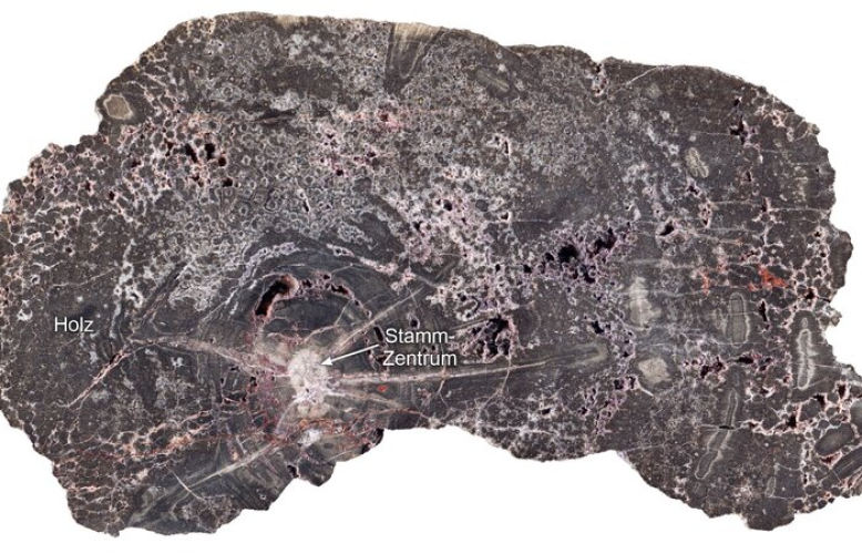 Internationales Forscherteam entdeckt neues Geoarchiv