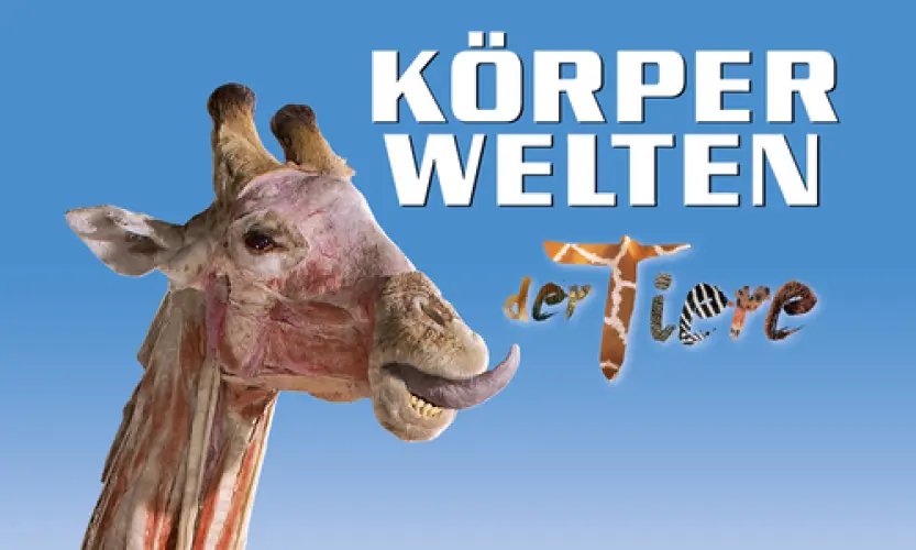 BODY WORLDS of animals