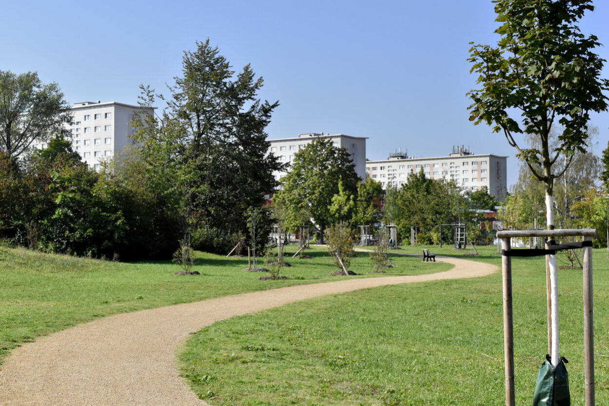 Geschwungener Weg in S-Form durch eine Parkanlage.