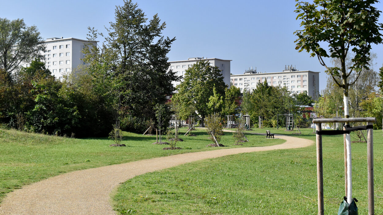 Geschwungener Weg in S-Form durch eine Parkanlage.