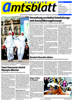 Ausgabe 6/2010