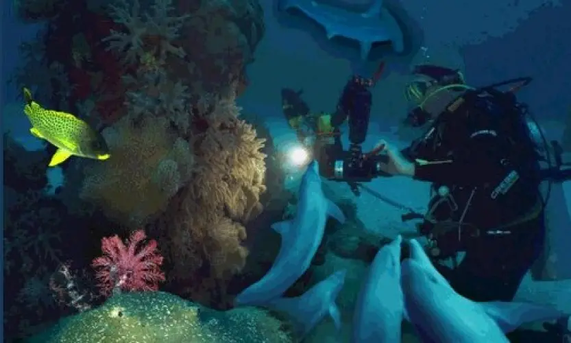 Lecture series: Travelogues &ndash; Underwater Adventures