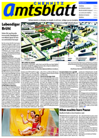 Ausgabe 29/2010