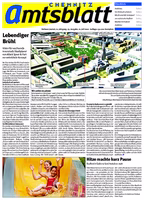 Issue 29/2010