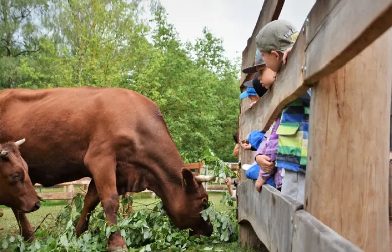 Neuer Erlebnisbauernhof im Tierpark Chemnitz &ouml;ffnet