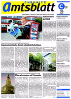 Issue 33/2008