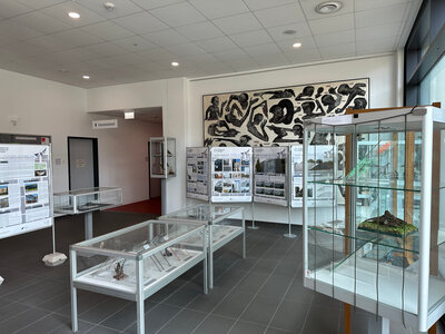 Ausstellung "Der Preis des Glases - Vogelschlag an Glas" im Foyer des Technischen Rathauses
