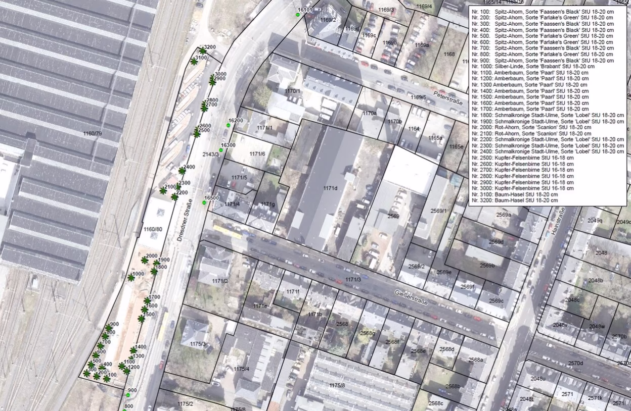 Overview plan for tree planting autumn 2024/spring 2025 - long-distance bus terminal Dresdner Straße