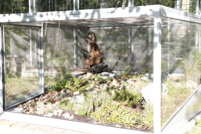 Das neue Freiland-Terrarium