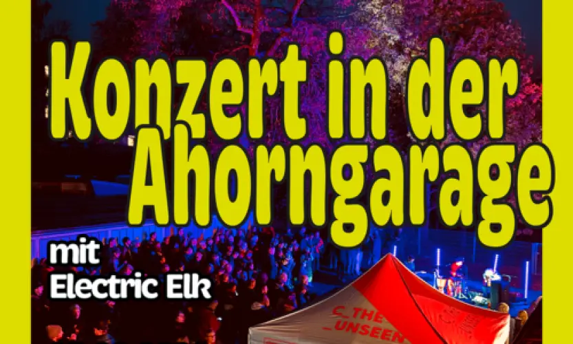 Mikroprojekt | Garagenkonzert in der Ahornstra&szlig;e