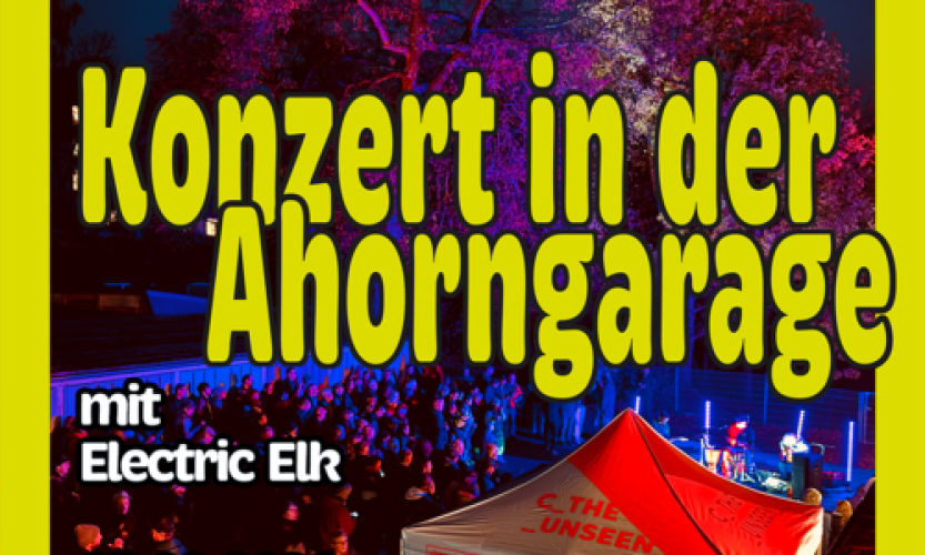 Mikroprojekt | Garagenkonzert in der Ahornstraße
