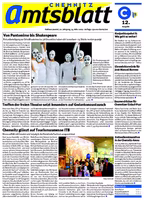 Issue 12/2009