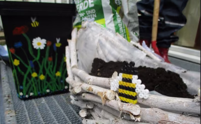 Mobile Blühwiese mit einer Perlenbiene