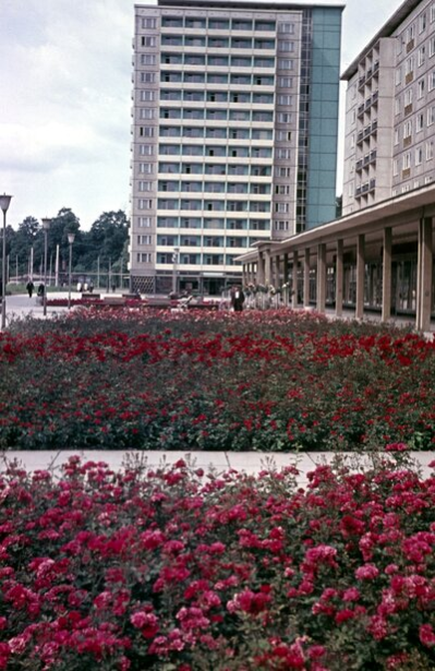 Ab Ende der 1960er-Jahren macht der Rosenhof mit seinen zahlreichen Rosenstöcken seinem Namen alle Ehre.
