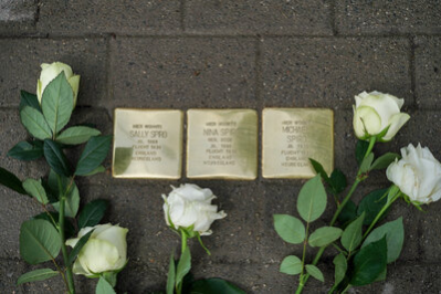 3 Stolpersteine für Familie Spiro. Auf den Steinen steht: Hier wohnte Sally Spiro, Jg. 1888, Flucht 1938, England, Neuseeland  |  Hier wohnte Nina Spiro, geb. Beck, Jg. 1898, Flucht 1938, England, Neuseeland  |  Hier wohnte Michael Spiro, Jg. 1929, Flucht 1938, England, Neuseeland