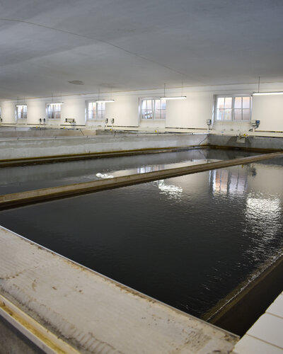 Bereits vorhandene Filteranlage im Wasserwerk der Talsperre Einsiedel