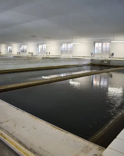 Bereits vorhandene Filteranlage im Wasserwerk der Talsperre Einsiedel