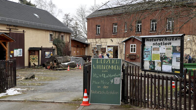 Aktion "Max Meise" - Naturschutzstation Chemnitz
