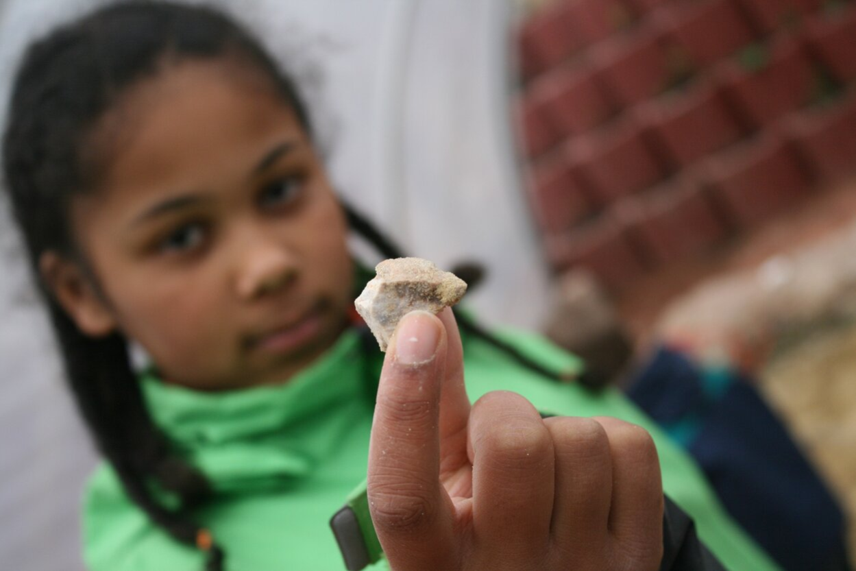In den Sommerferien können die Kinder selbst nach fossilen Schätzen suchen