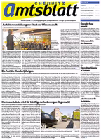Issue 35/2009