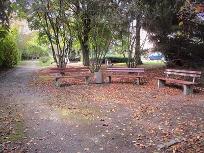 Spielplatz Rödelwaldstraße / Grünanlage, Sitzbänke