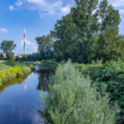 Umfrage zu Umweltthemen der Stadt Chemnitz