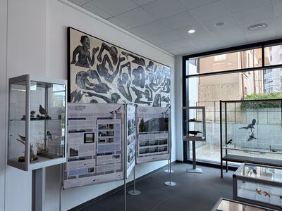 Ausstellung "Der Preis des Glases - Vogelschlag an Glas" im Foyer des Technischen Rathauses