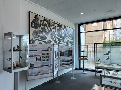 Ausstellung "Der Preis des Glases - Vogelschlag an Glas" im Foyer des Technischen Rathauses