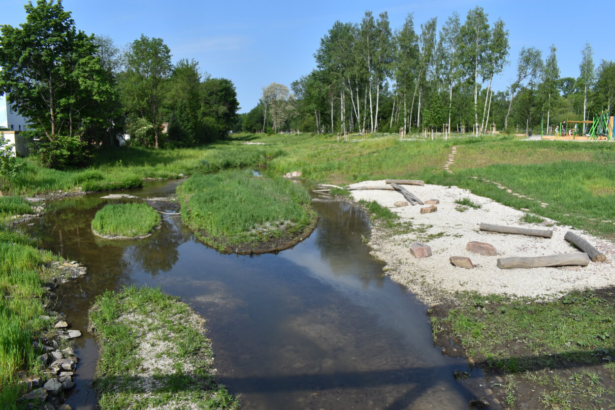 Ein Fluss zieht sich von vorn nach hinten durch das Bild; am gegenüberliegenden Ufer stehen Bäume, rechts im Bild eine Sandbank mit entrindeten Baumstämmen als Sitzgelegenheiten.