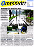 Issue 32/2010