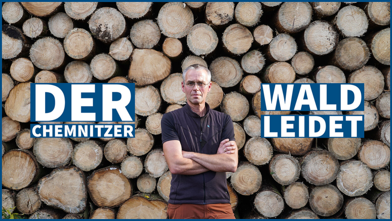 Der Chemnitzer Wald leidet